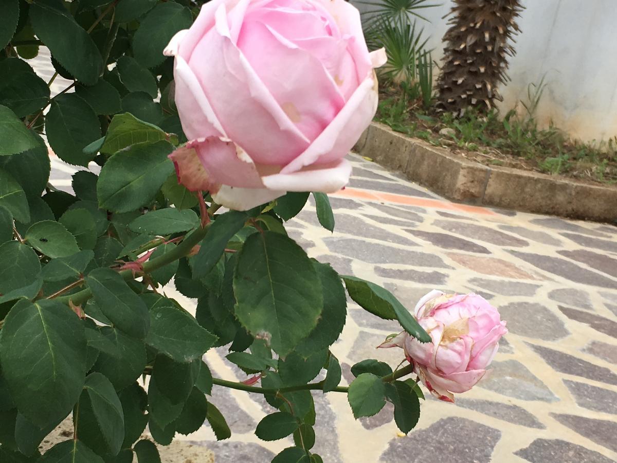 كابوليفيري Mandel Residence By Mandel Club المظهر الخارجي الصورة