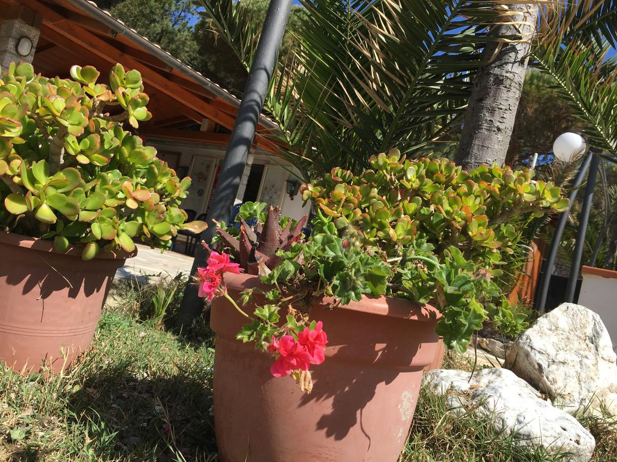 كابوليفيري Mandel Residence By Mandel Club المظهر الخارجي الصورة